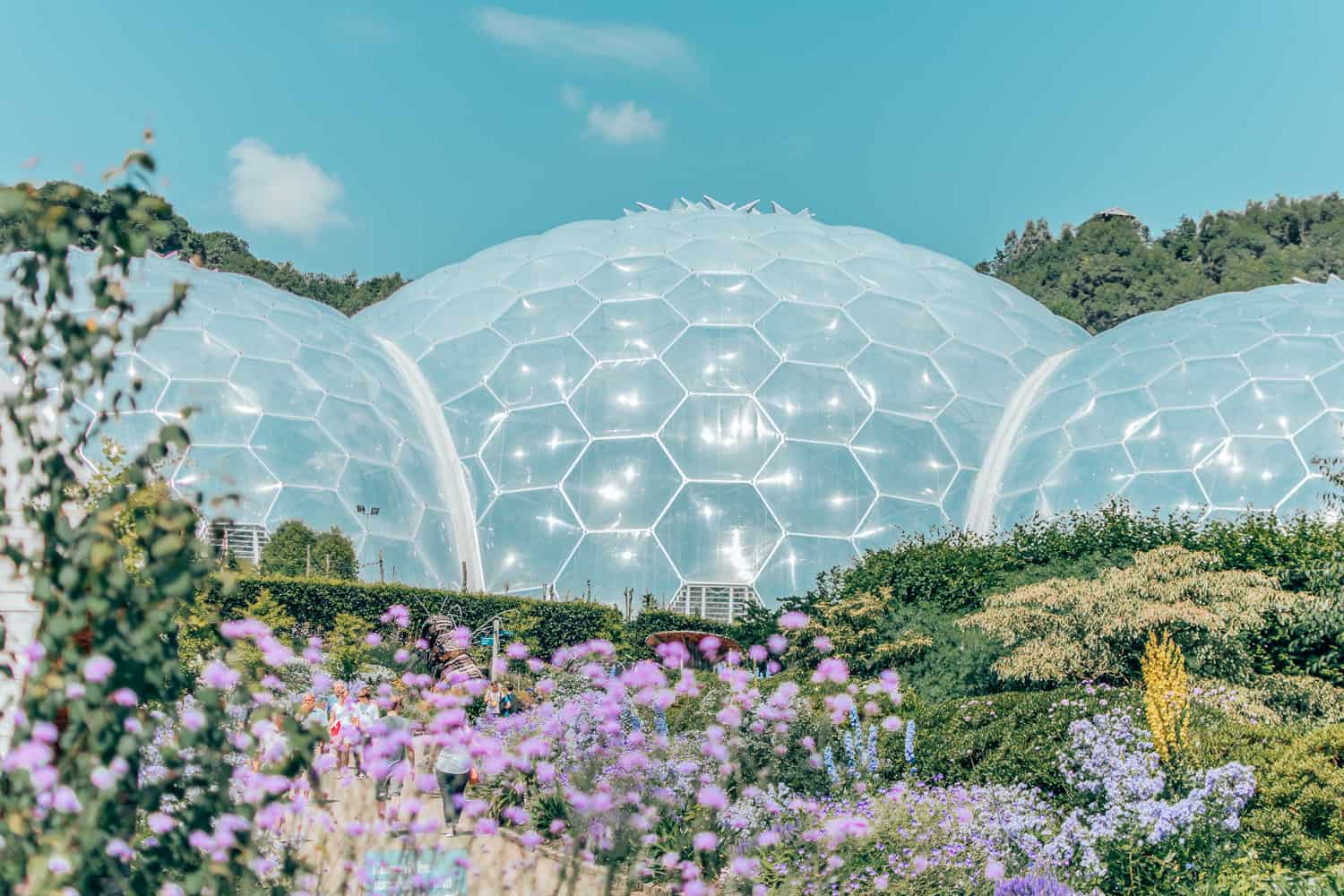 The Eden Project Experience