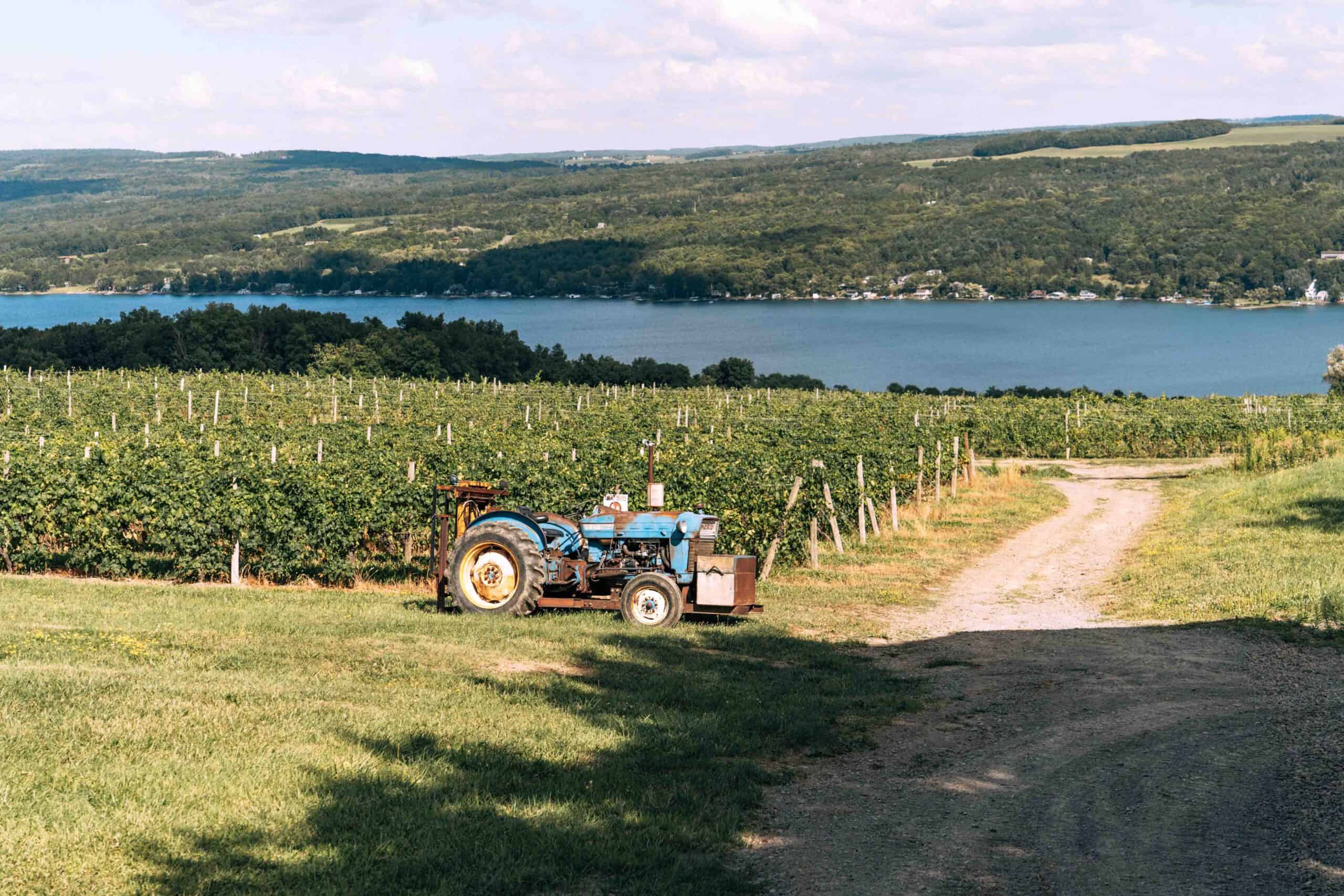 Wineries near seneca clearance lake