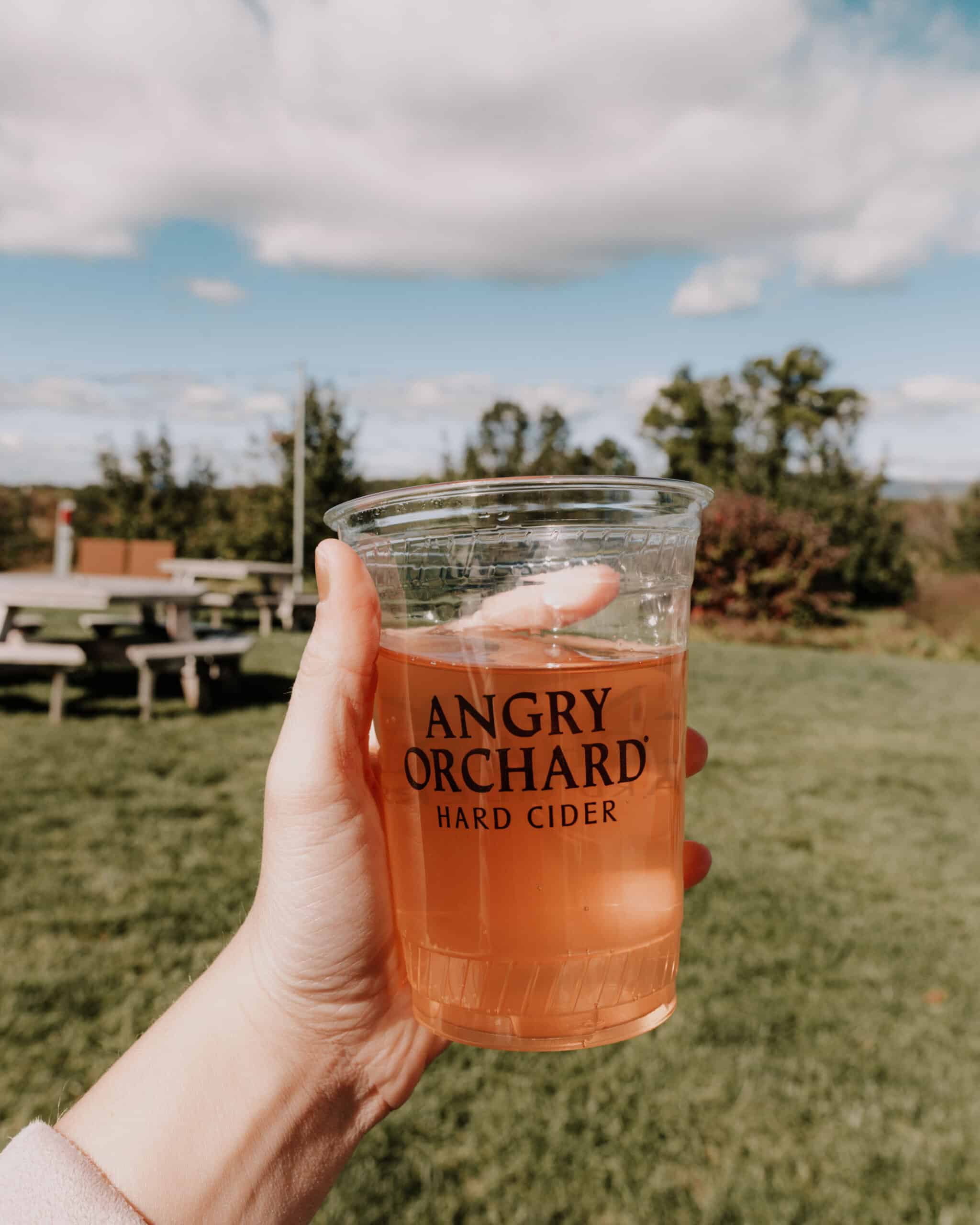 Angry Orchard Cidery