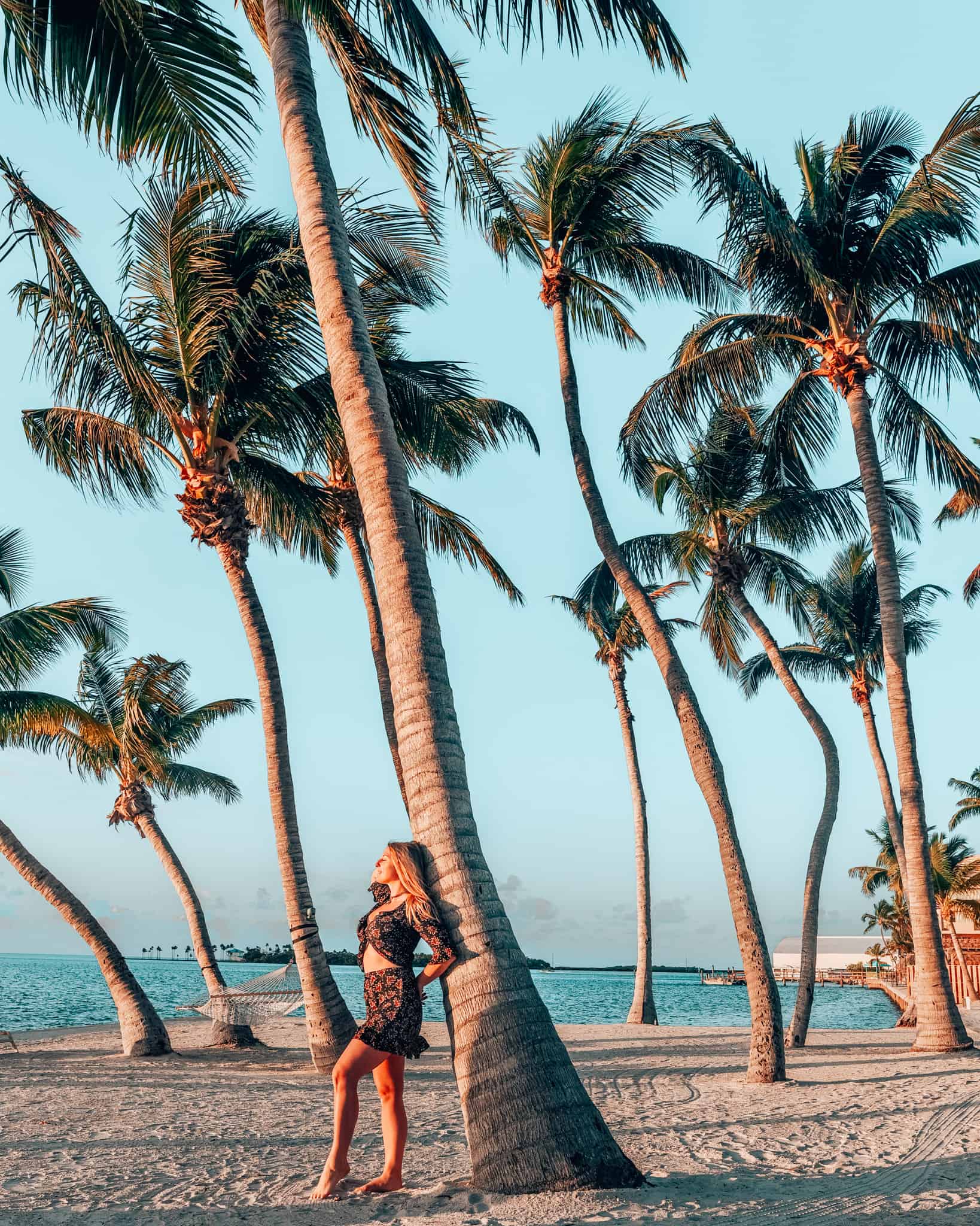 girl leaning on palm tree