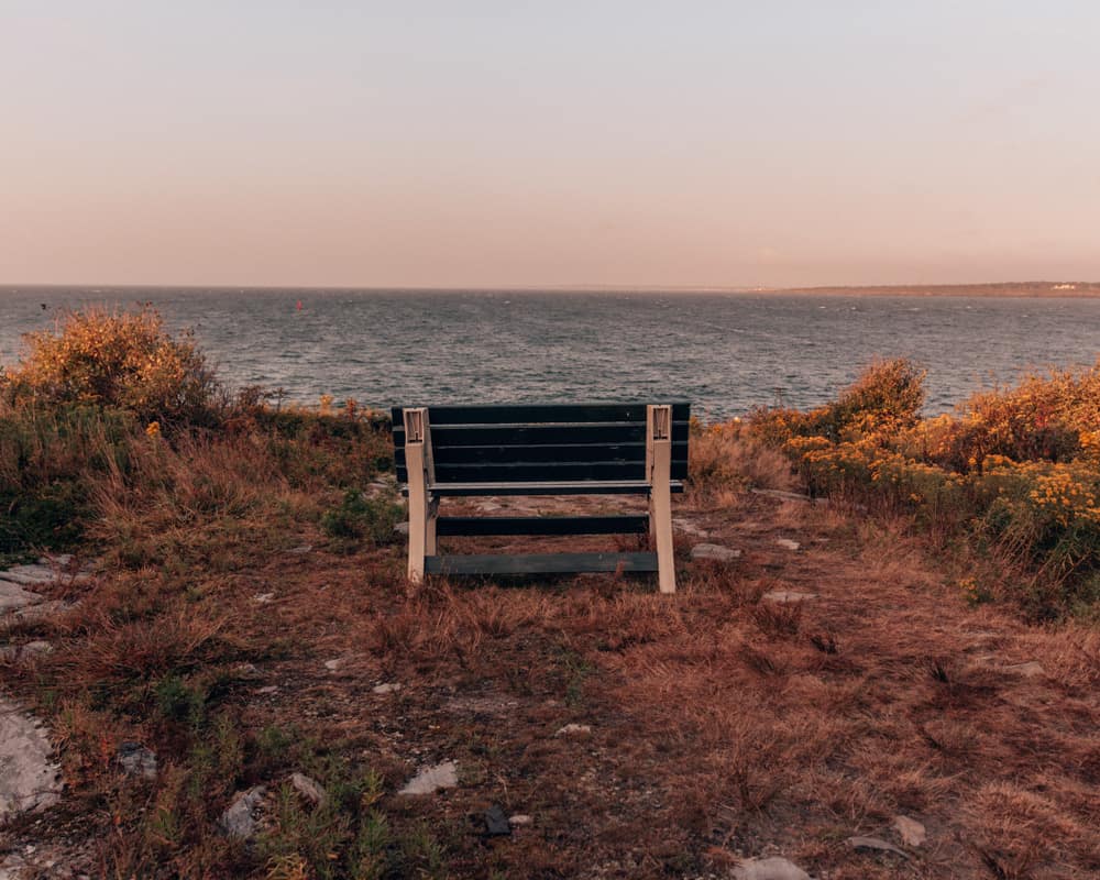bench with a sea view