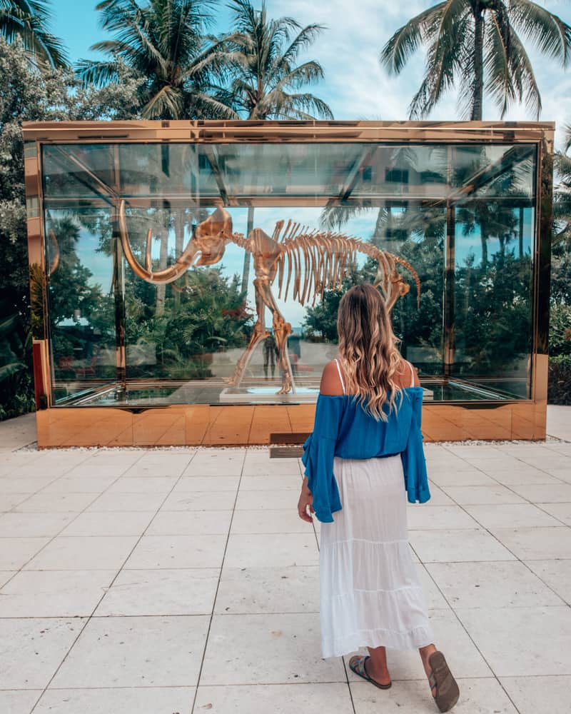 Miami's 12 Most Photographic and Instagrammable Spots