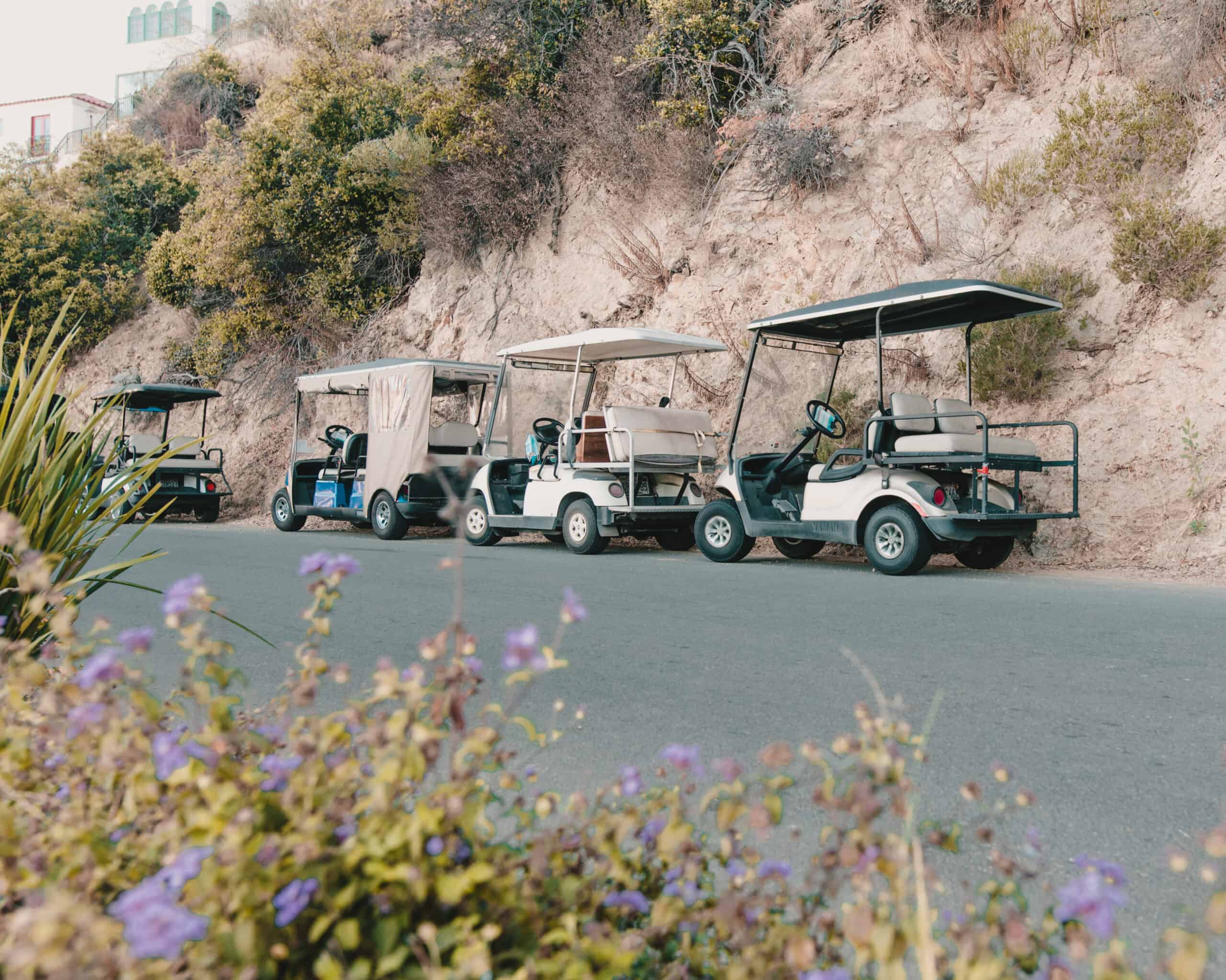 Golf Carts Catalina