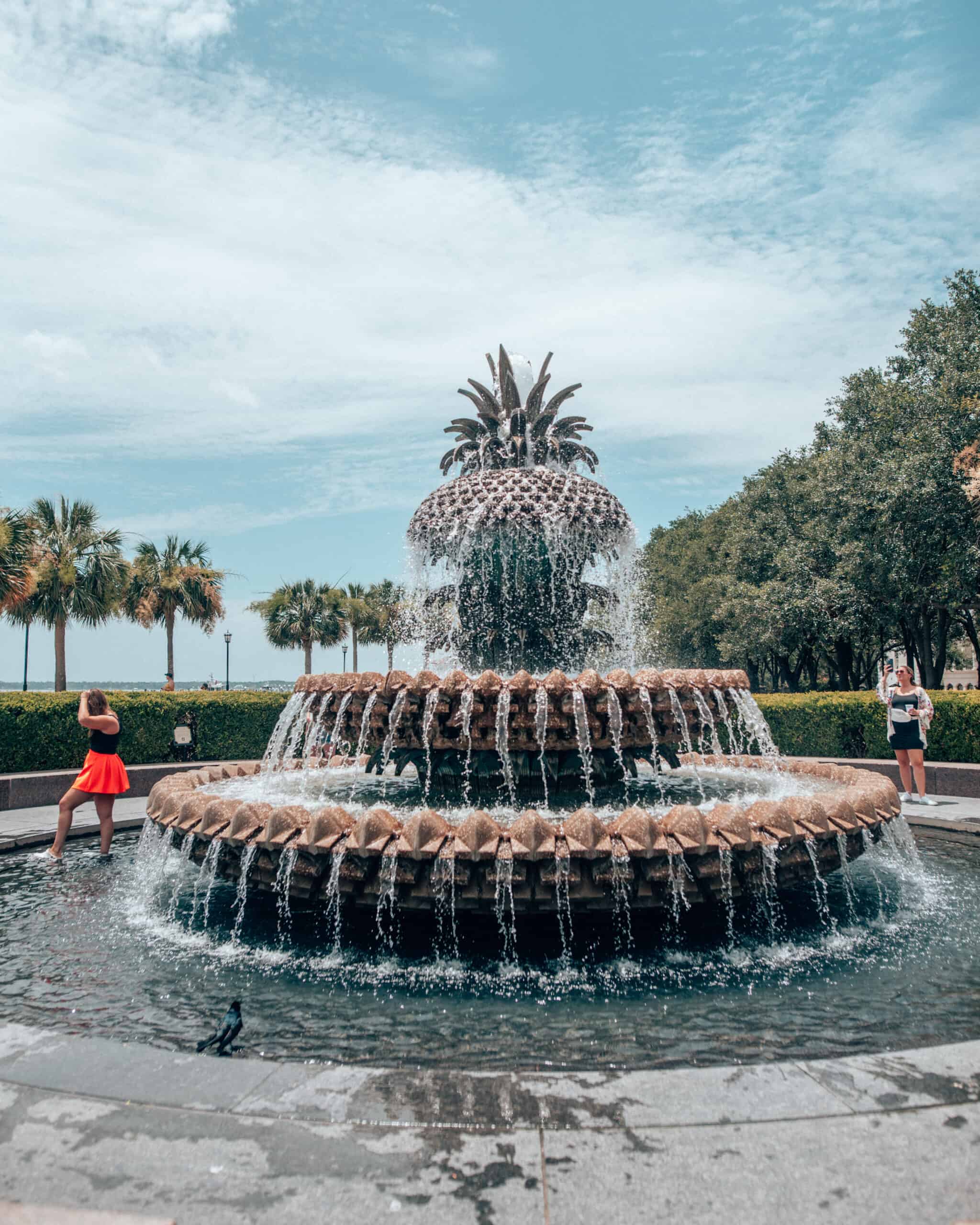 Pineapple fountain