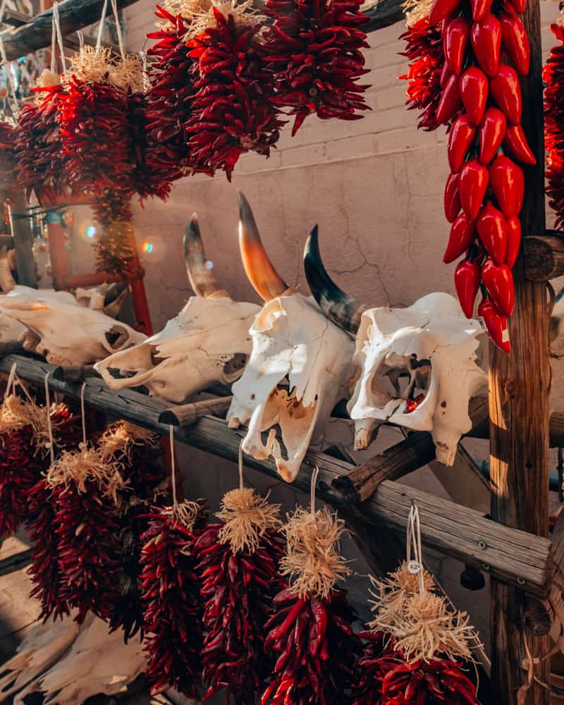 animal skulls and chillies