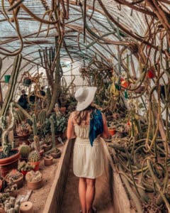 girl standing in the greenhouse at Moorten Botanical Gardens
