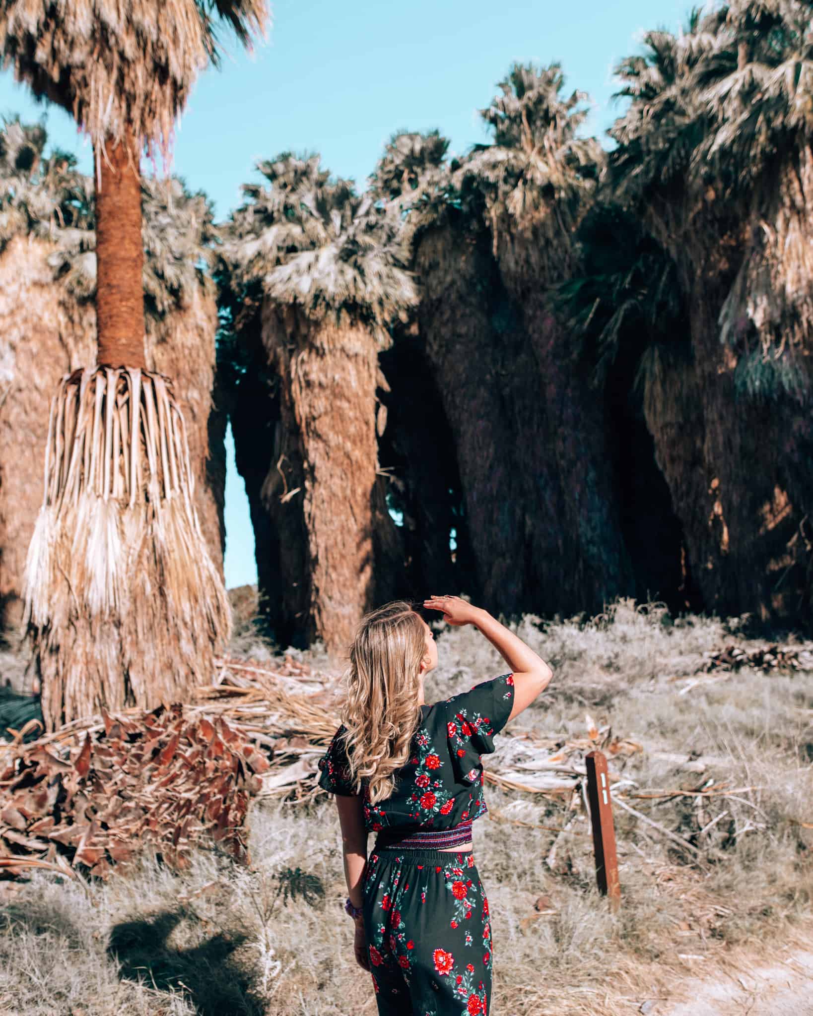 girl standing with hand at head looking at palm trees