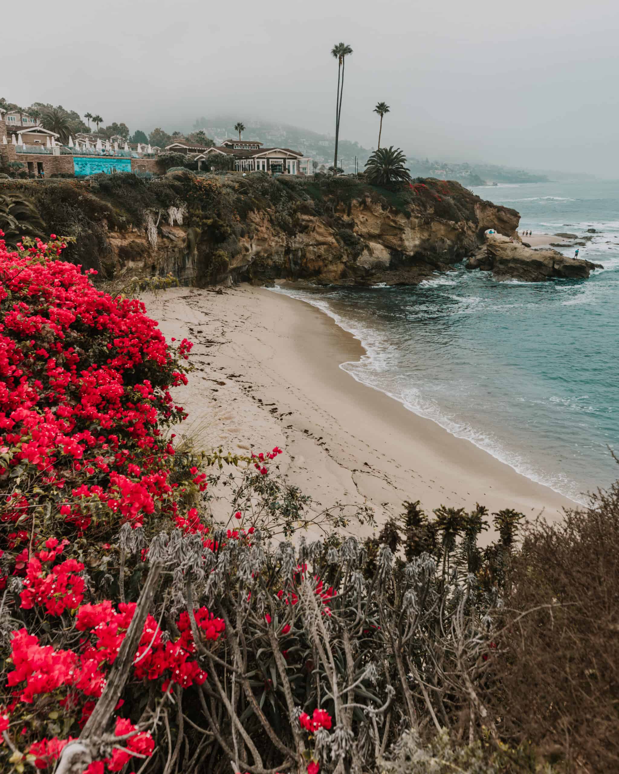 Treasure Island Park